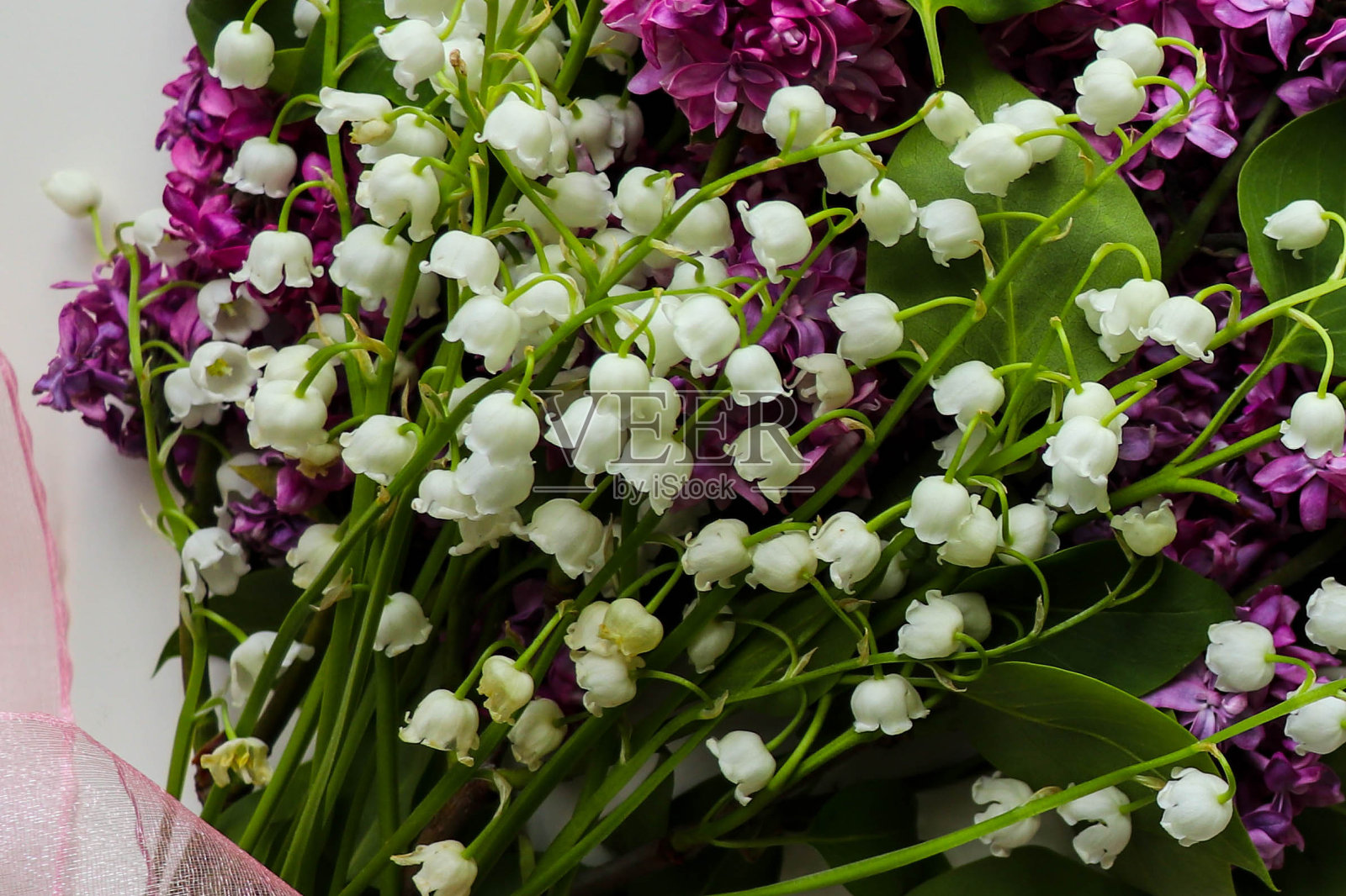 一小束铃兰照片摄影图片