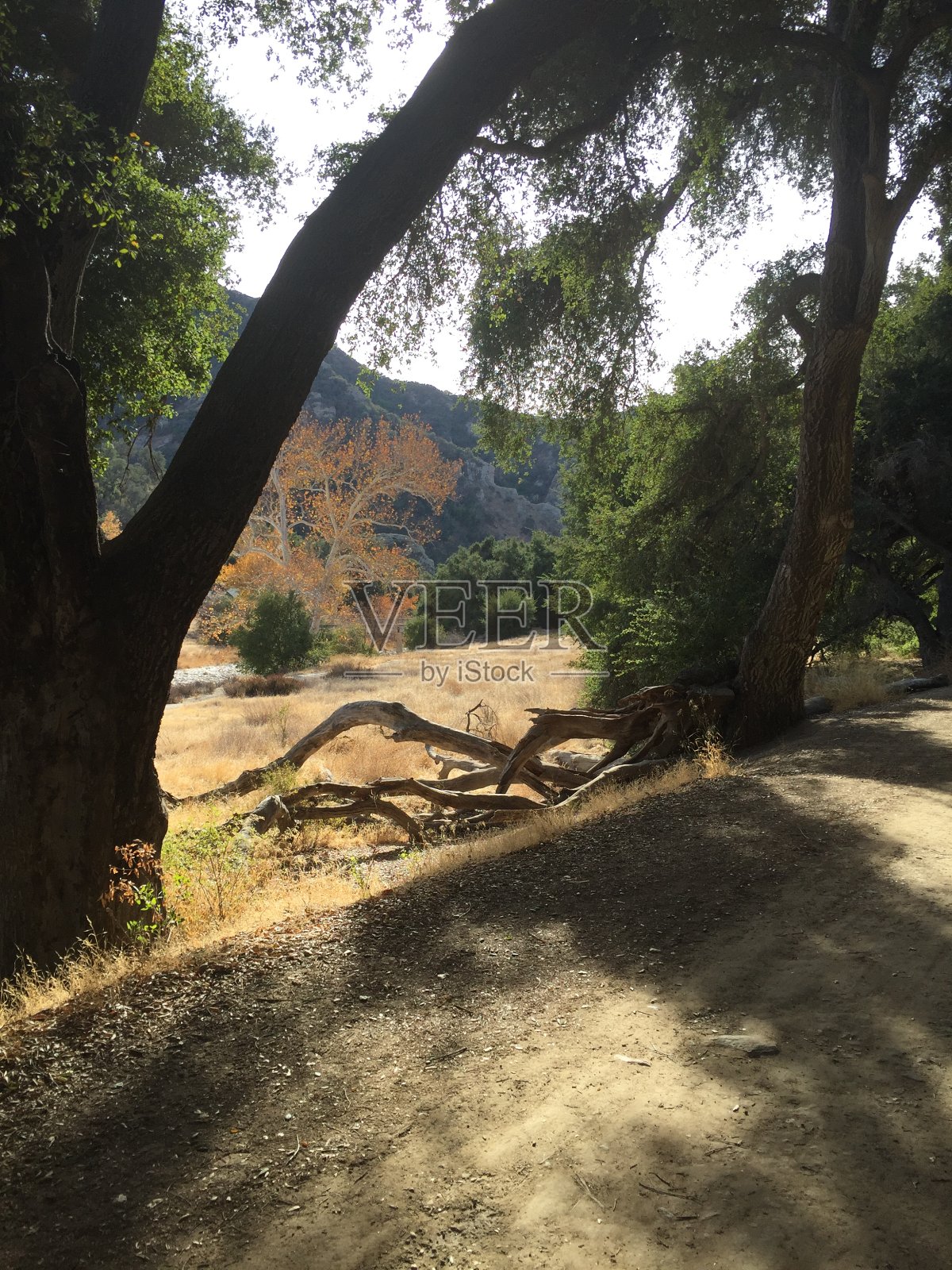 加州马里布州立公园照片摄影图片