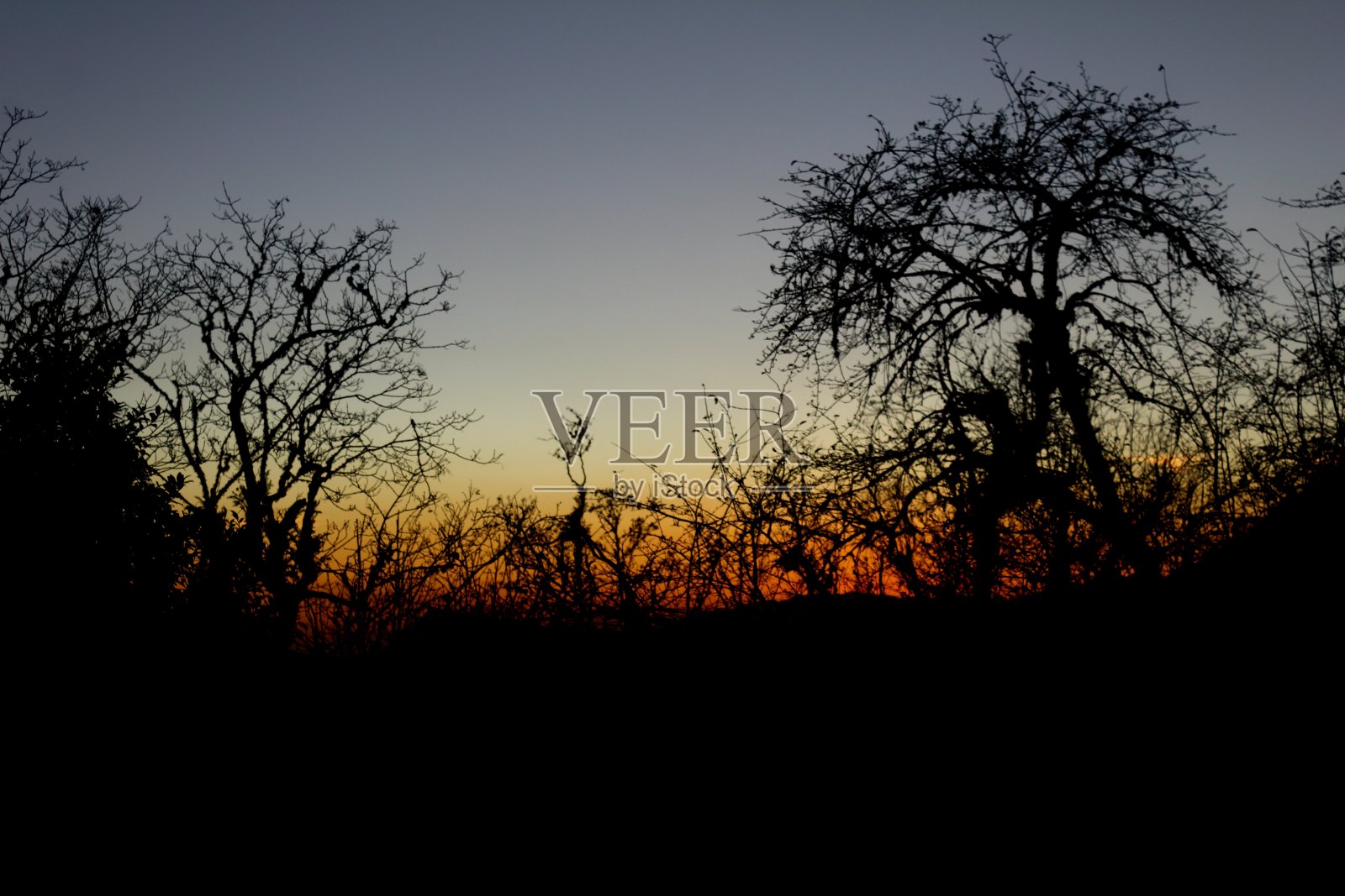 Khopra安纳普尔纳峰地区照片摄影图片