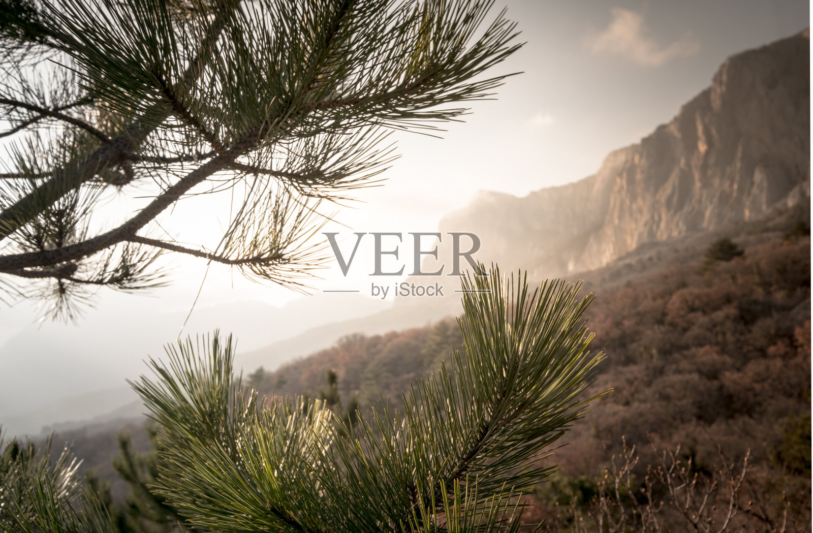 戏剧性的海岸日落和金色的光海洋照片摄影图片