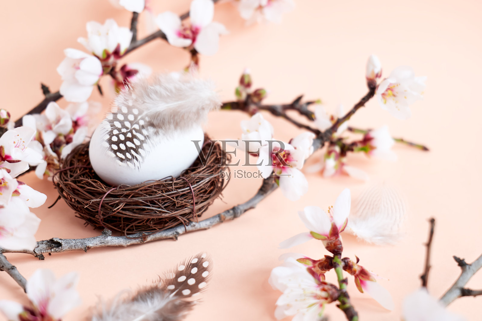 时髦的复活节彩蛋与春天的小枝和羽毛巢在浅粉色柔和的背景。复活节快乐。贺卡模板。空间的文本。照片摄影图片