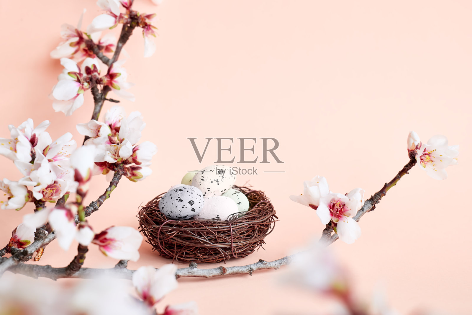 时髦的复活节彩蛋与春天的小枝和羽毛巢在浅粉色柔和的背景。复活节快乐。贺卡模板。空间的文本。照片摄影图片