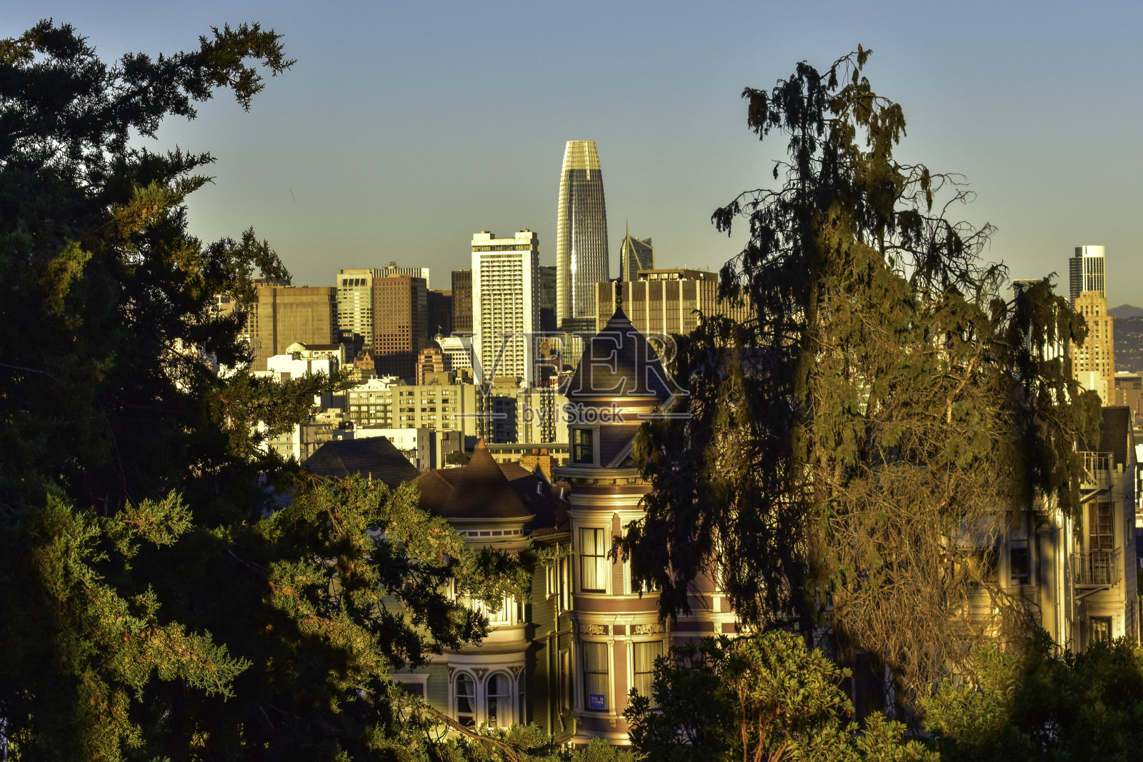 从山上看旧金山市照片摄影图片