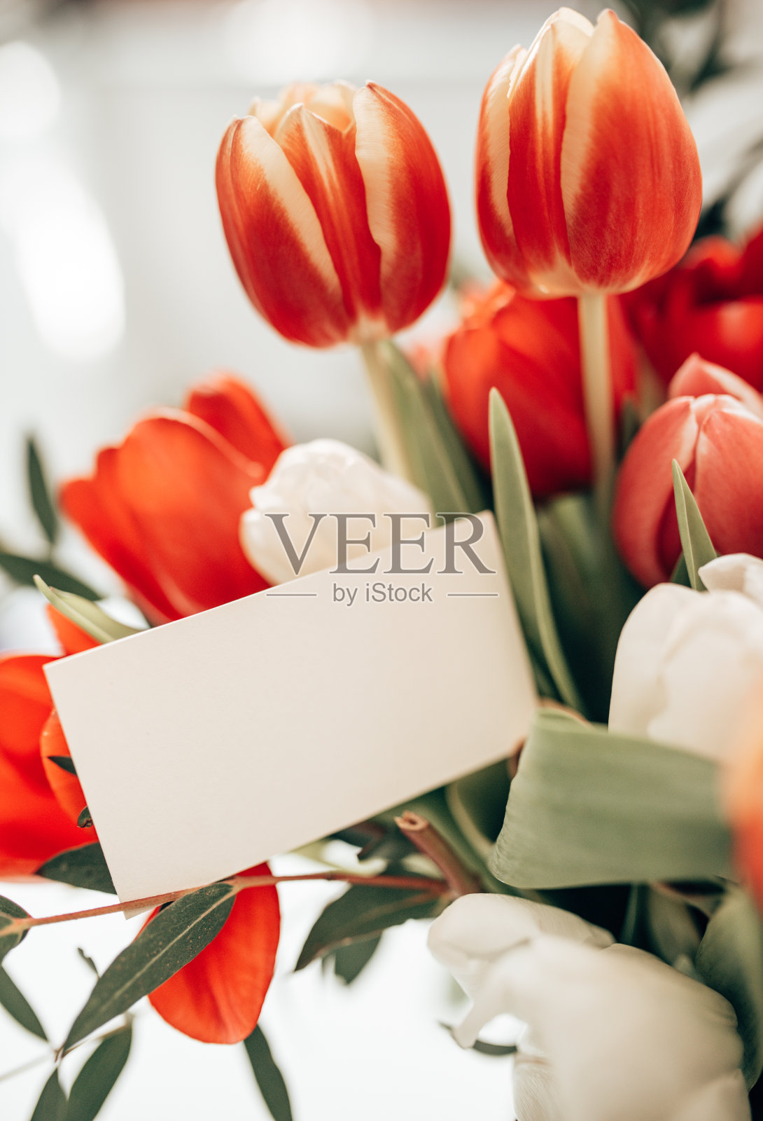 一束郁金香和一张卡片照片摄影图片