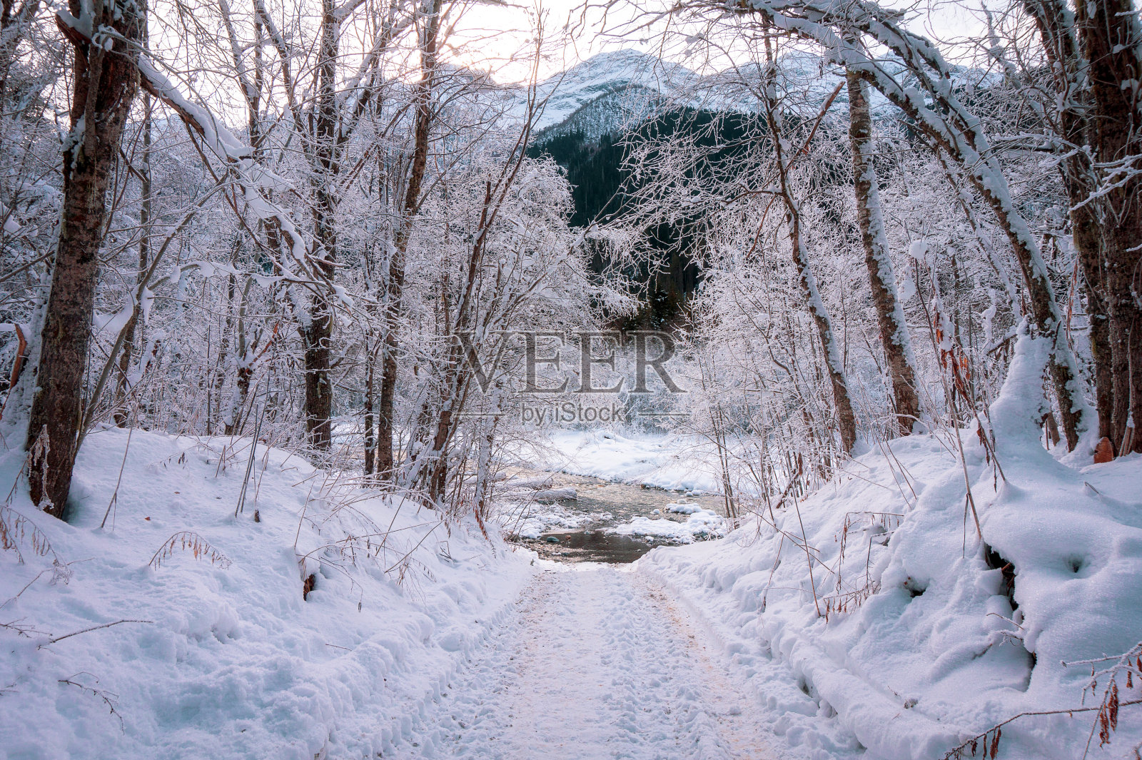 戈纳奇希尔河峡谷的冬季森林景观照片摄影图片