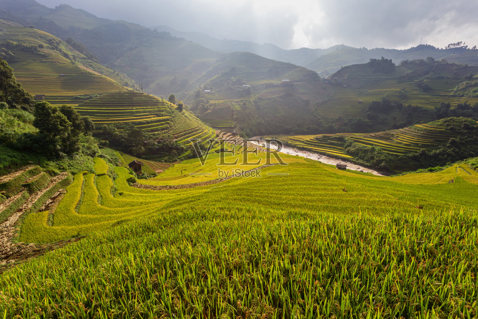 梯田稻田景观的木仓柴。照片摄影图片