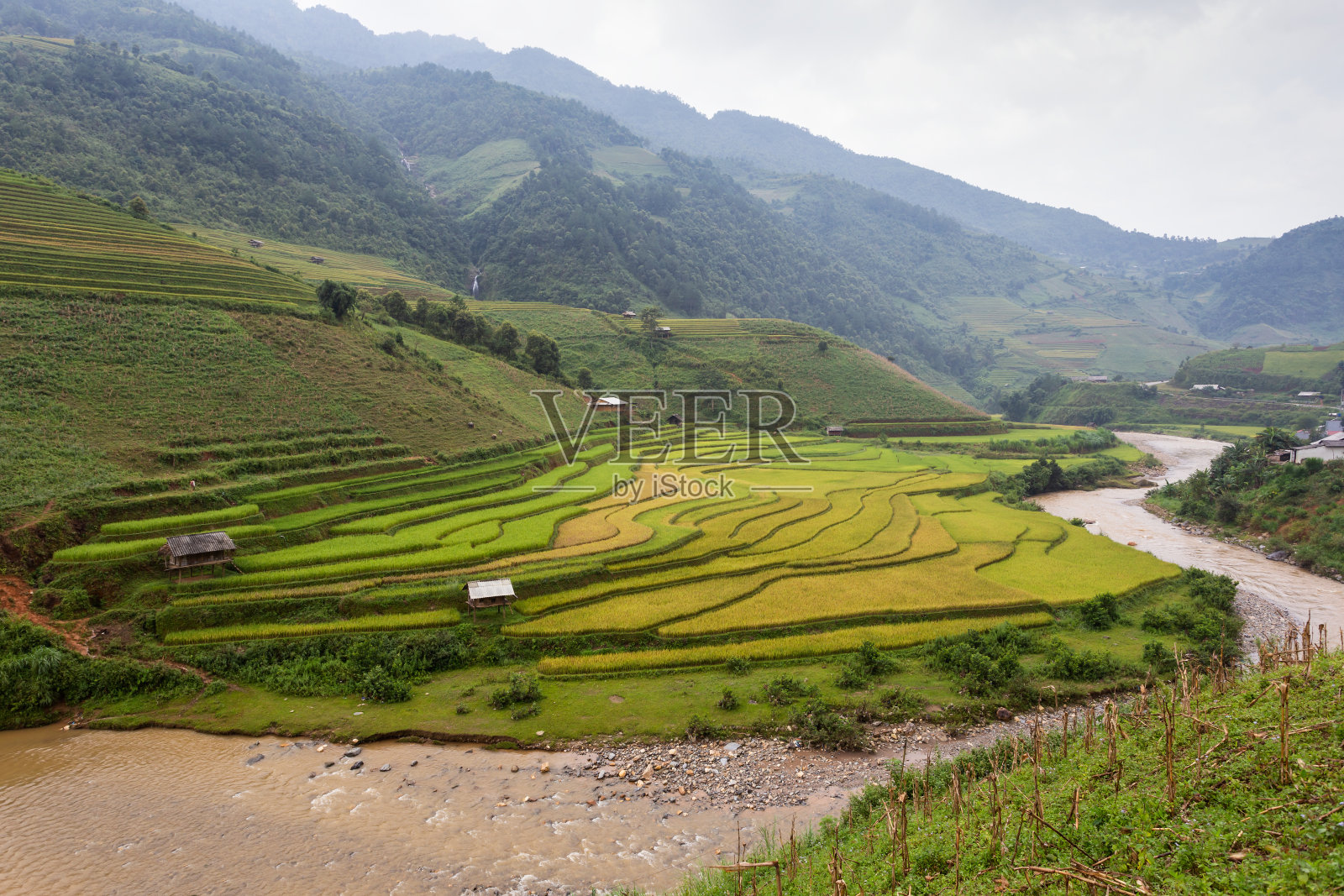 梯田稻田景观的木仓柴。照片摄影图片