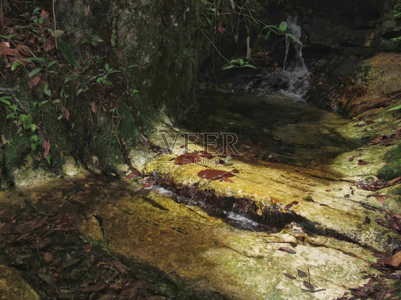 Chapada dos Guimaraes国家公园的小溪照片摄影图片
