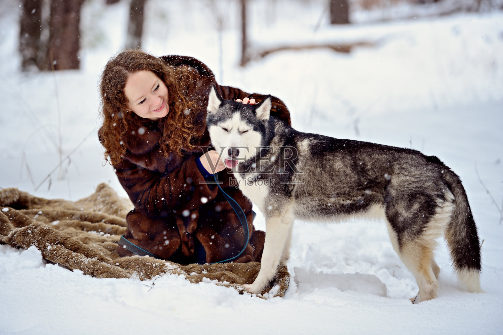 在一个晴朗的日子里，一个年轻的女孩和一只哈士奇狗在冬天的公园里。他们看着对方。一个男人和一只狗在白雪上。人们和狗。温柔。友谊。水平方向。照片摄影图片