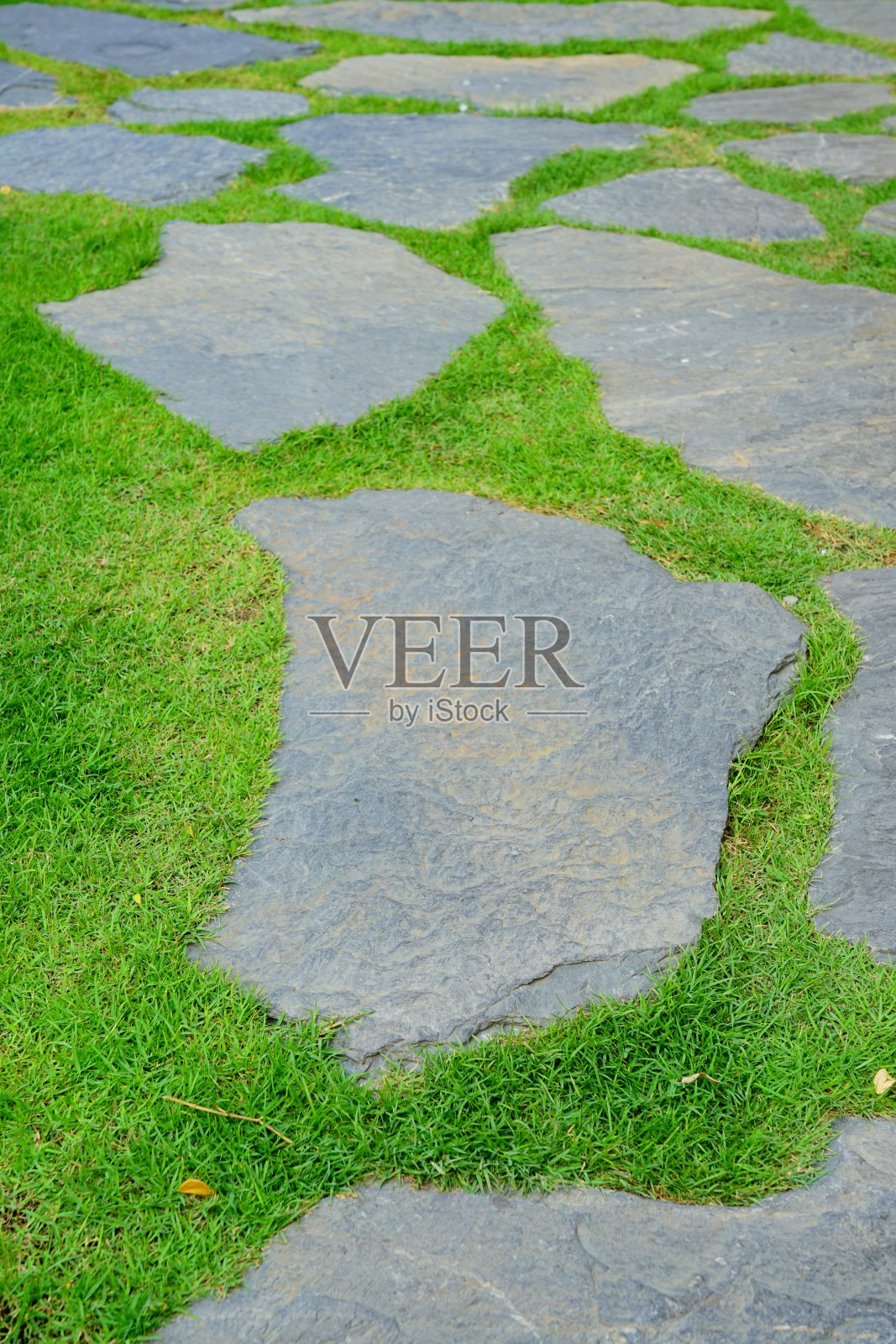 草和石头照片摄影图片