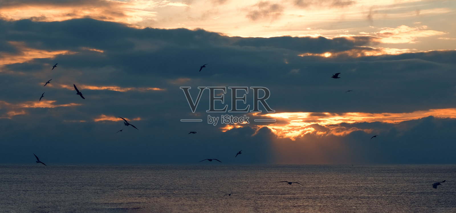 戏剧性的夏日天空深蓝色的大海照片摄影图片