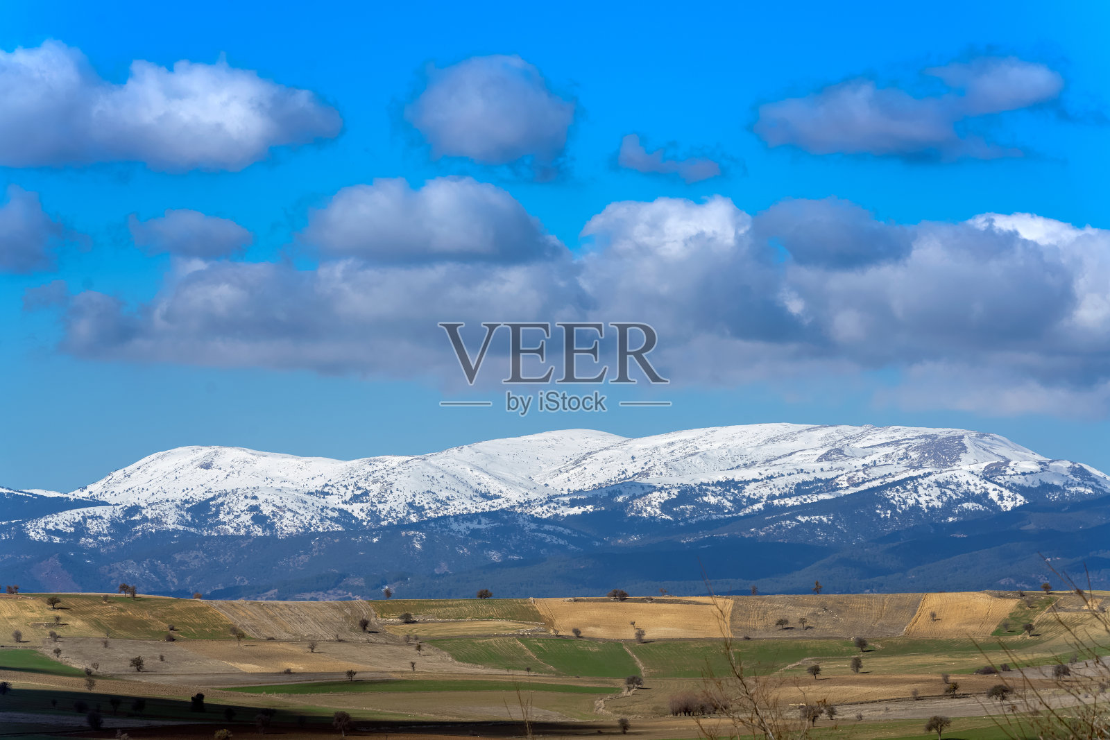 白雪覆盖的山脉，田野和树木照片摄影图片