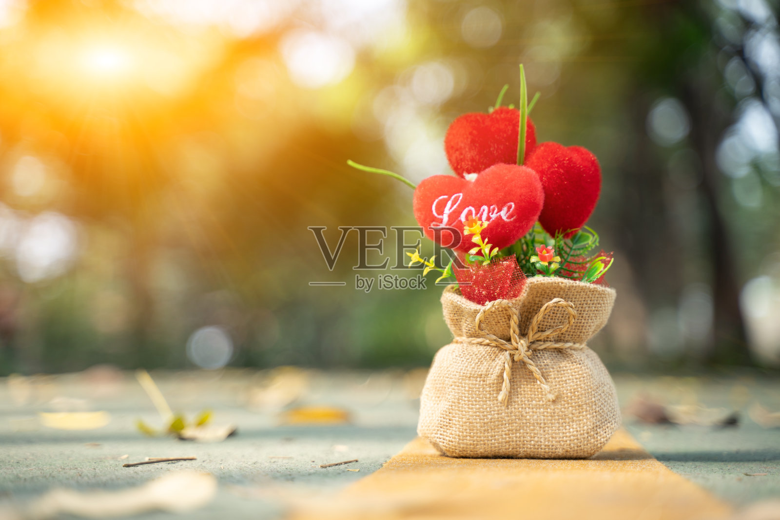 在爱的日子送一束花给爱照片摄影图片