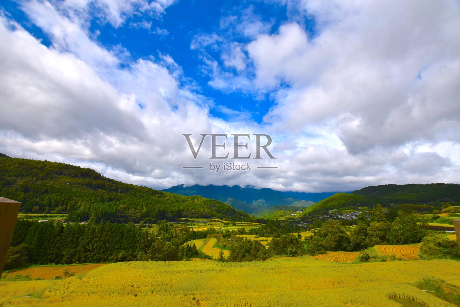 日本的梯田照片摄影图片