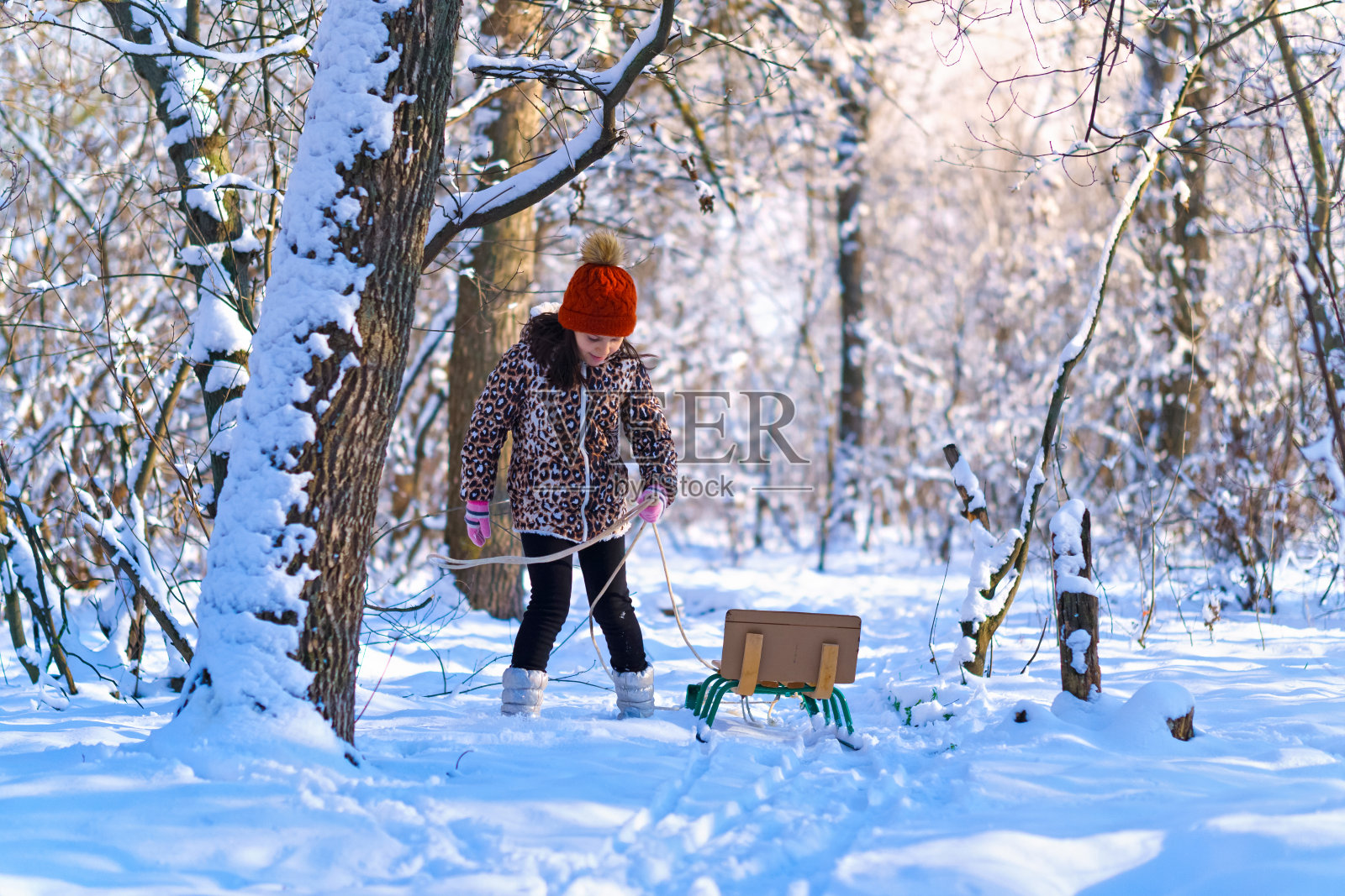 小女孩拉着雪橇走在冬天的森林里，明亮的阳光和雪地上的阴影，美丽的大自然照片摄影图片