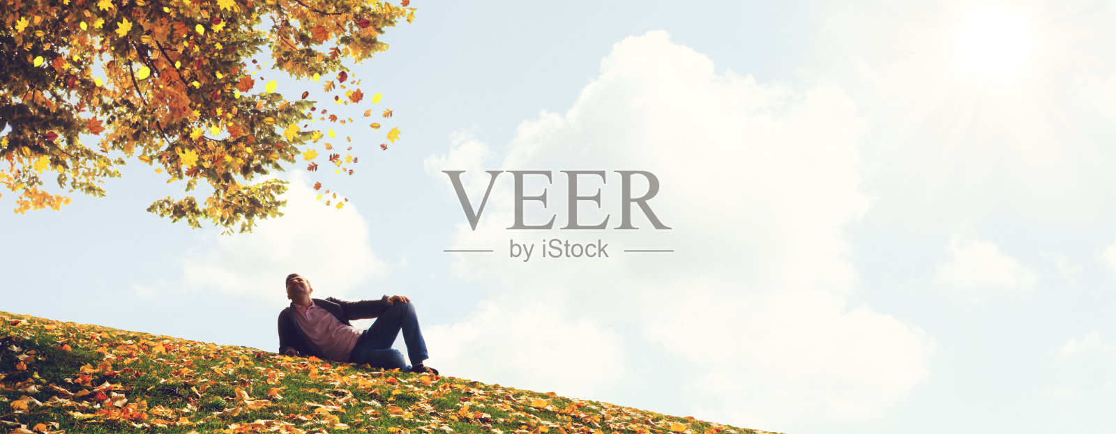 五彩斑斓的树叶飘落在秋天的公园里。照片摄影图片