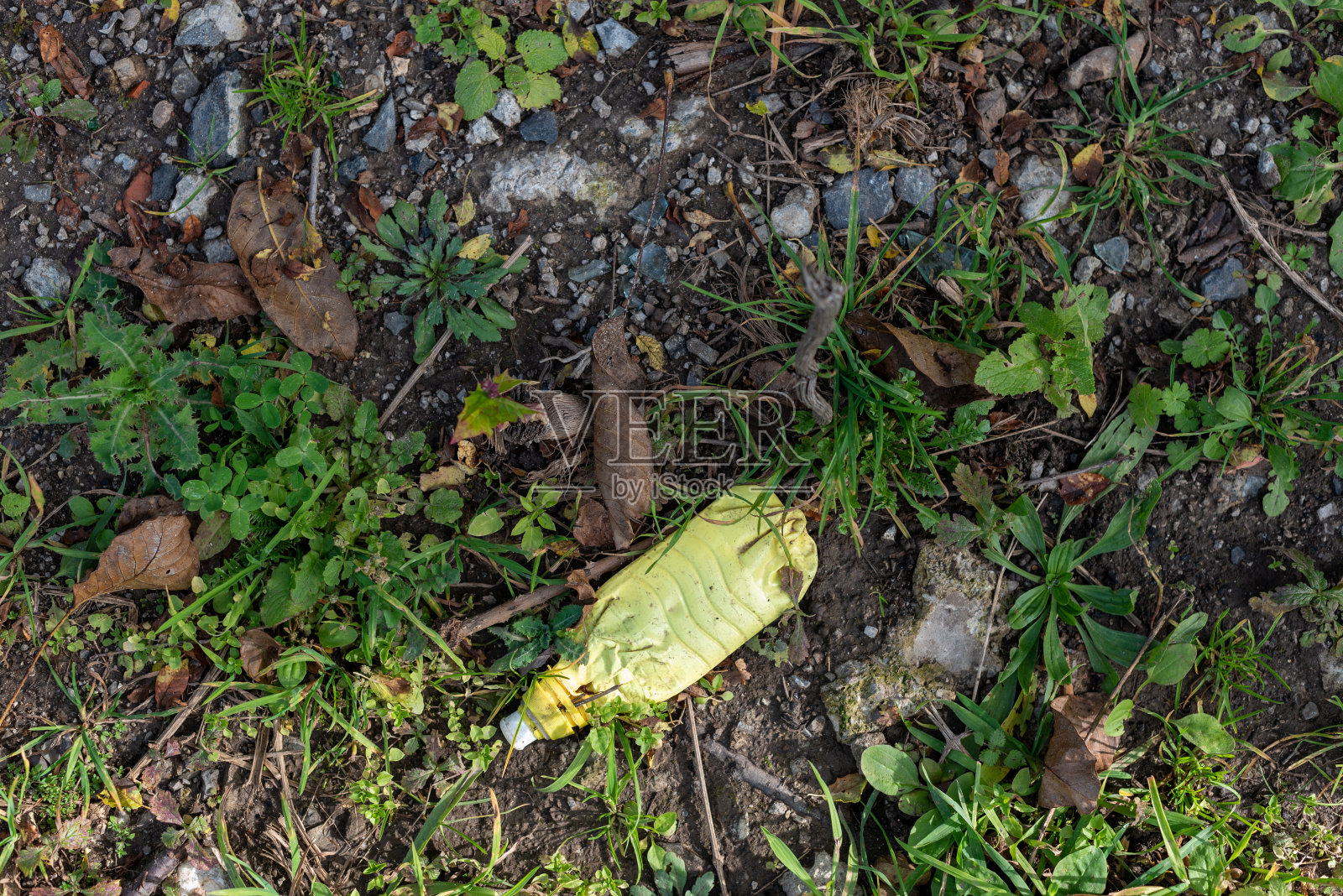 旧塑料在草林污垢污染环境问题对话欧洲照片摄影图片