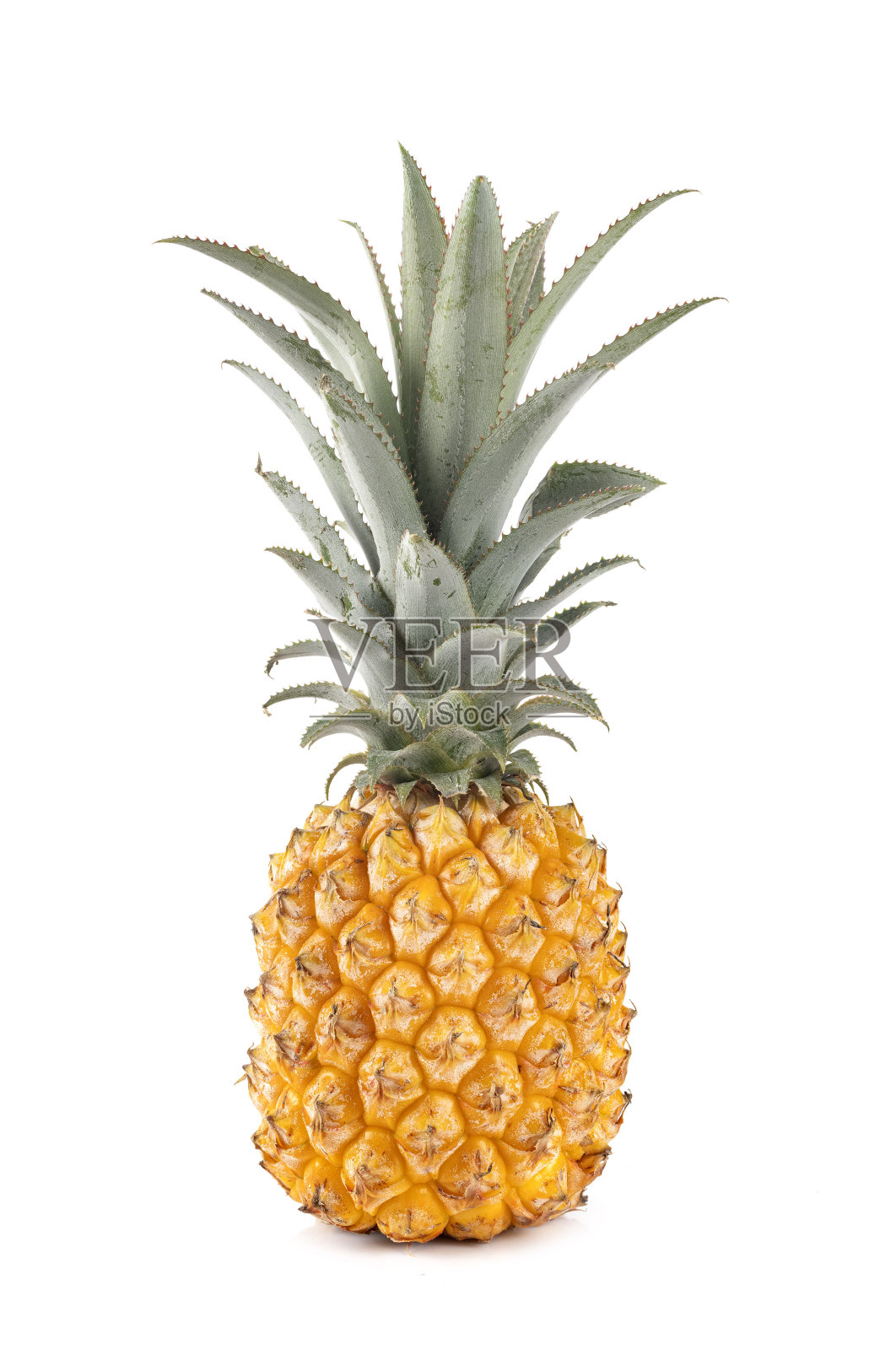 美味的菠萝照片摄影图片