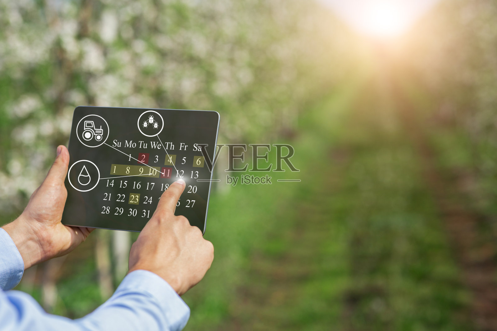 智能农业技术。男农民在日历上规划耕种活动，在户外使用触摸板照片摄影图片