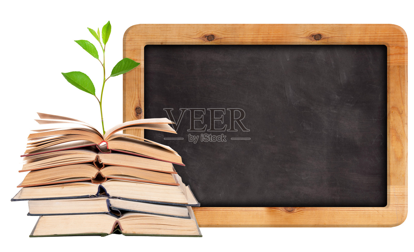 绿色的芽从打开的书本和黑板上生长照片摄影图片