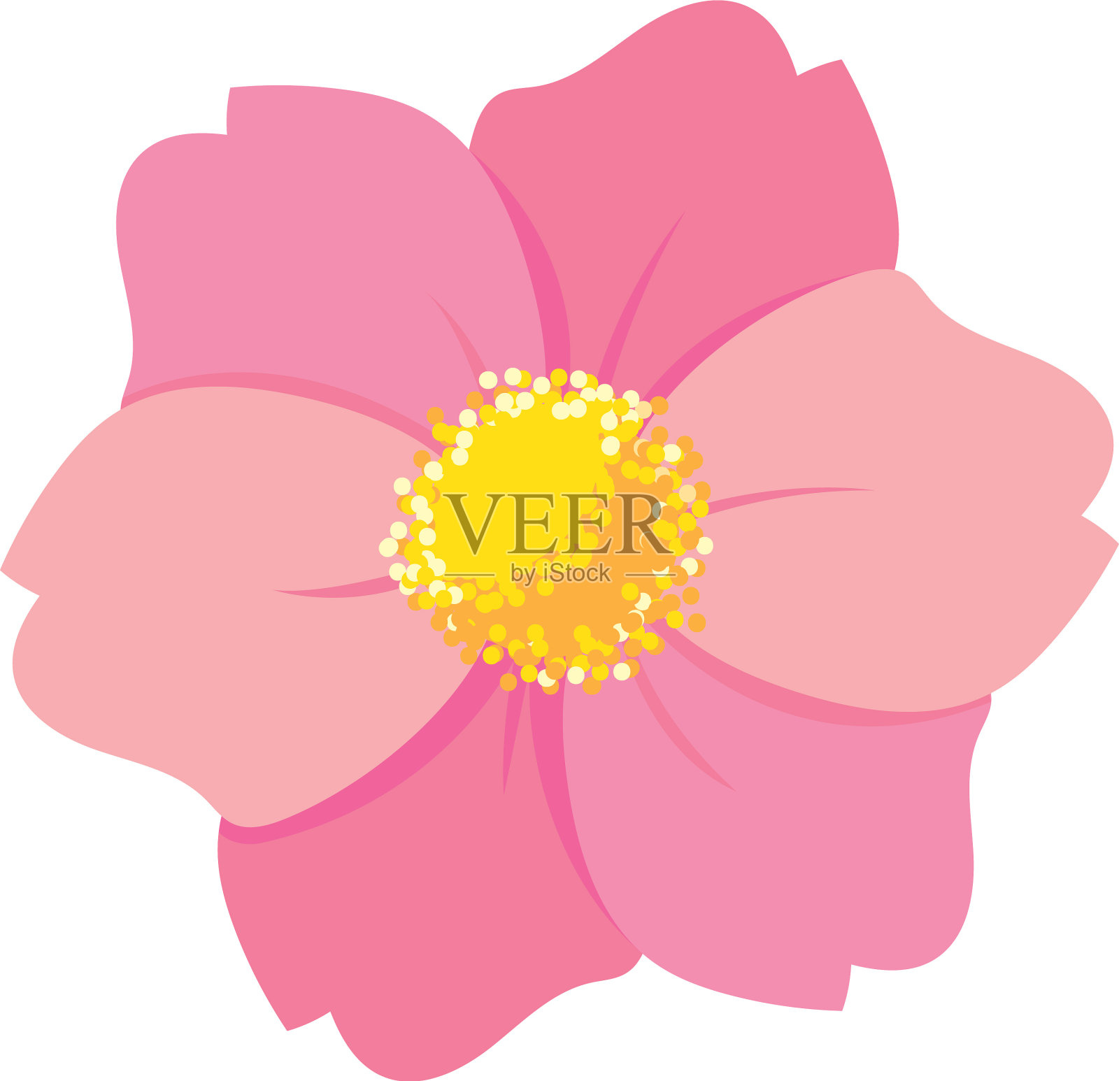 孤立的粉红色花朵图案设计元素图片