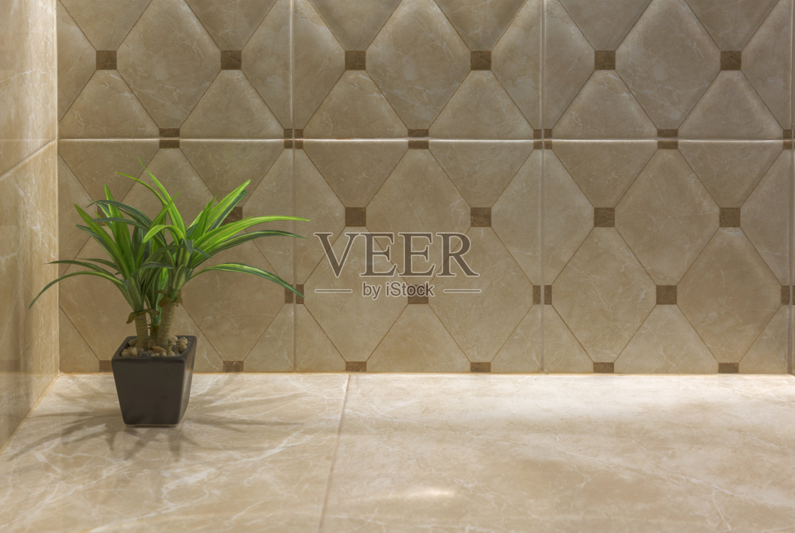 架子上有植物的浴室照片摄影图片