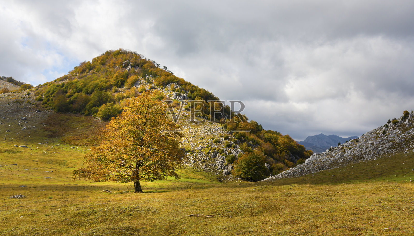 秋天的特兰西瓦尼亚阿尔卑斯山的山景，有着美丽的晚霞照片摄影图片