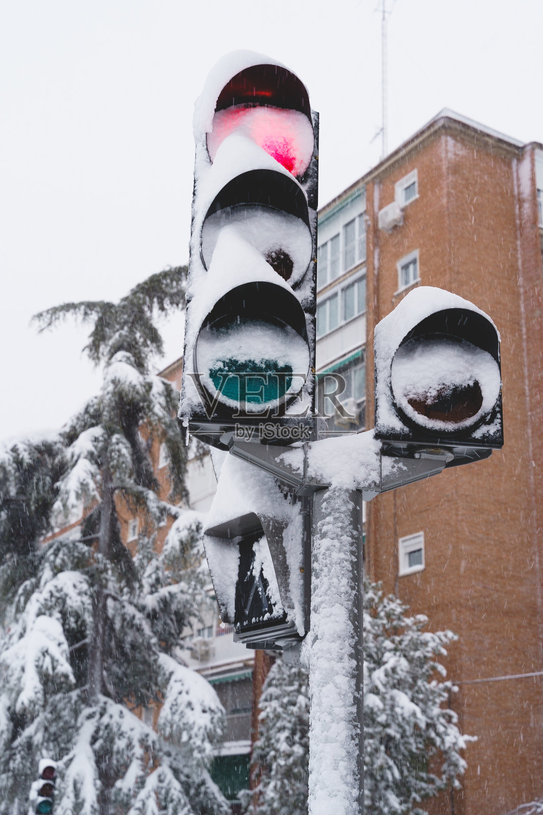 街道上被雪覆盖的交通灯的垂直视图。照片摄影图片