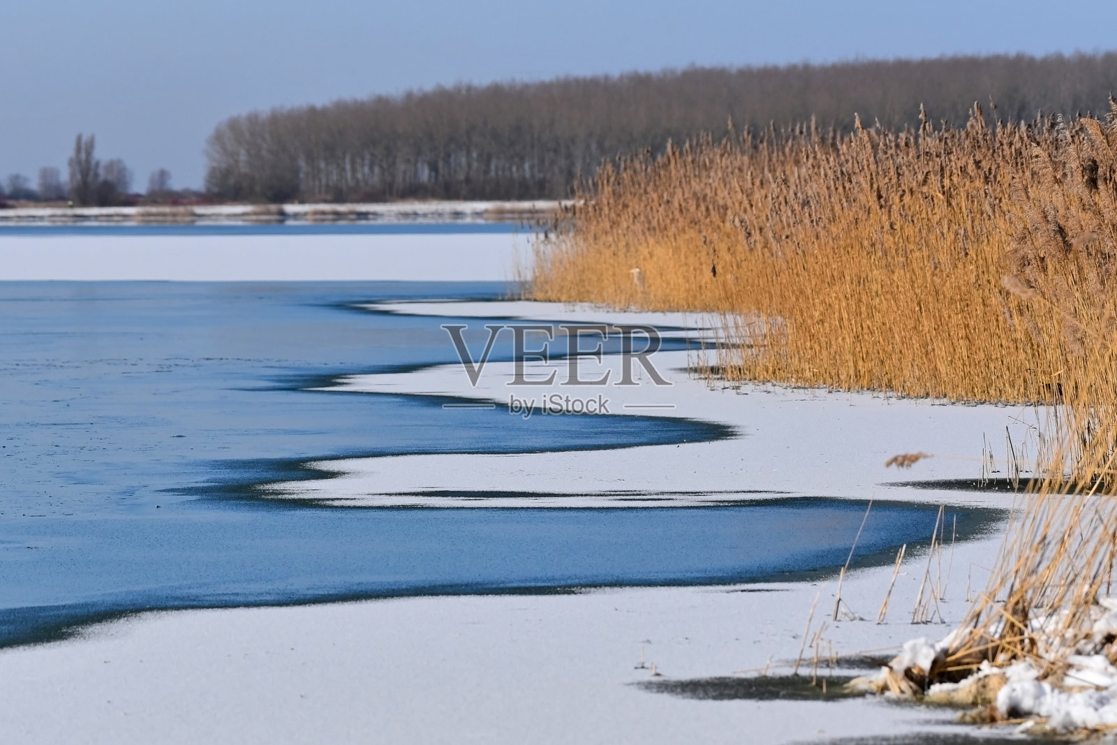 荷兰的冰雪:许多湖泊和池塘都结了冰照片摄影图片