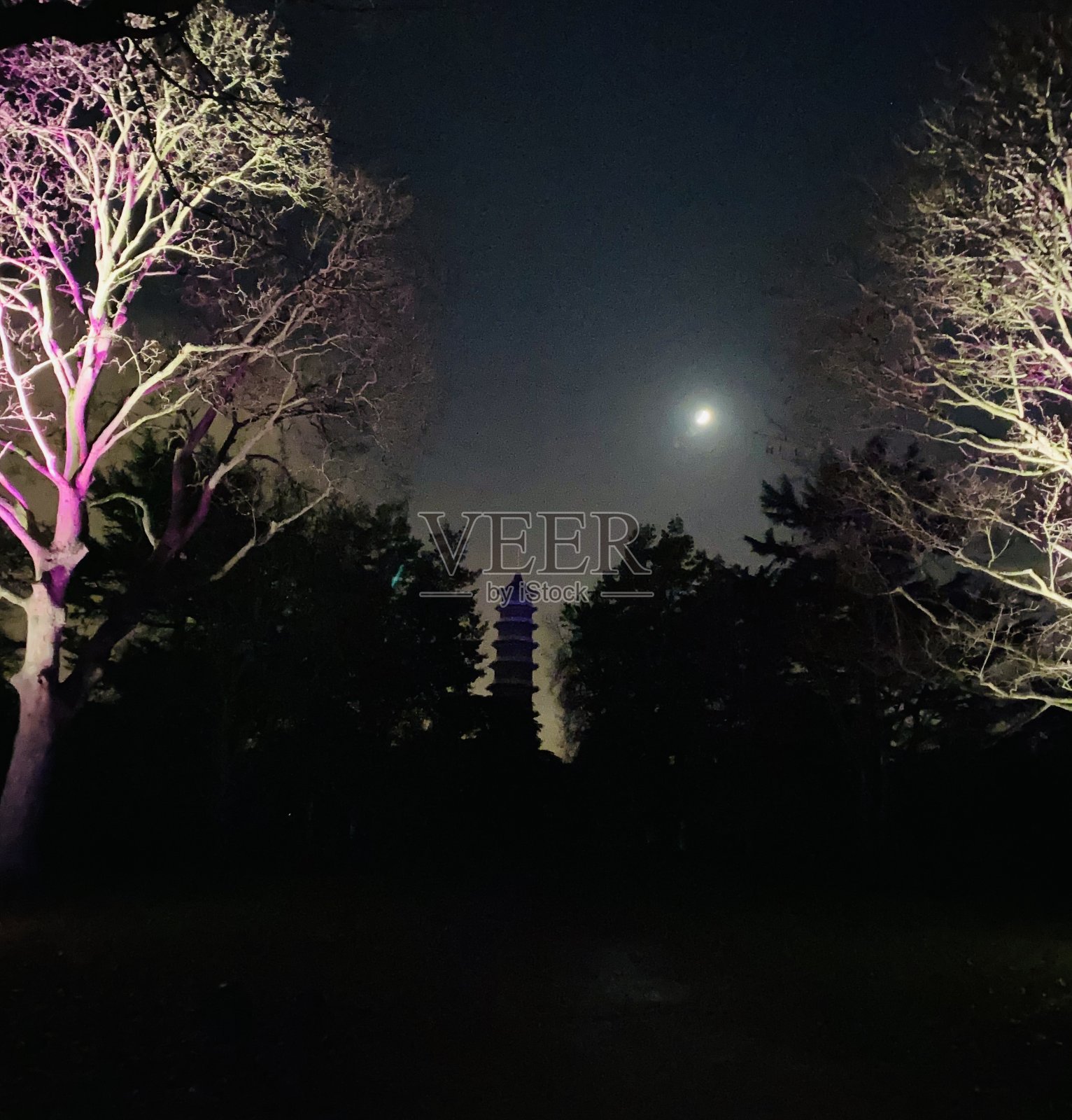 宝塔的天际线照片摄影图片