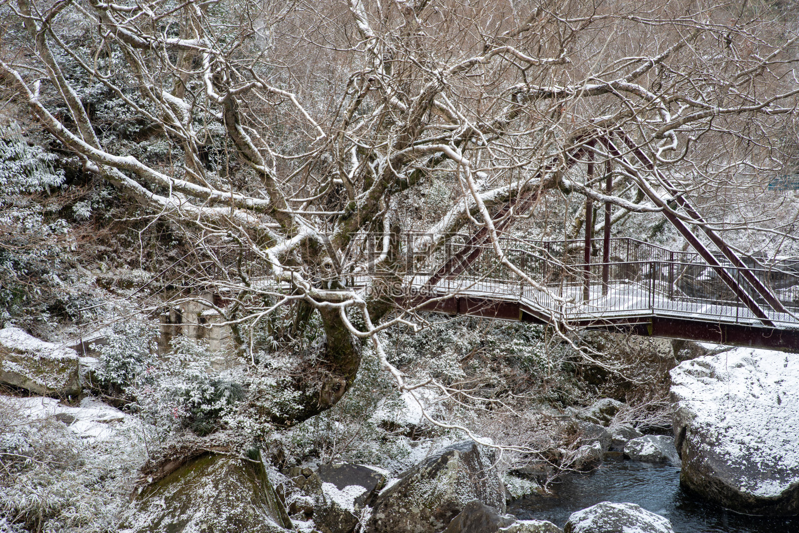 大分县大分市新叶峡谷照片摄影图片