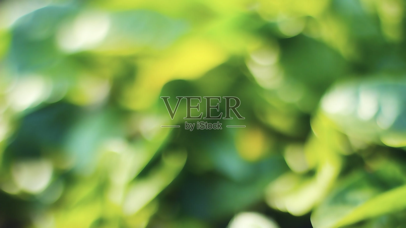 模糊的散景抽象的绿色和金色混合色背景，用于纹理或图形设计或多用途。照片摄影图片