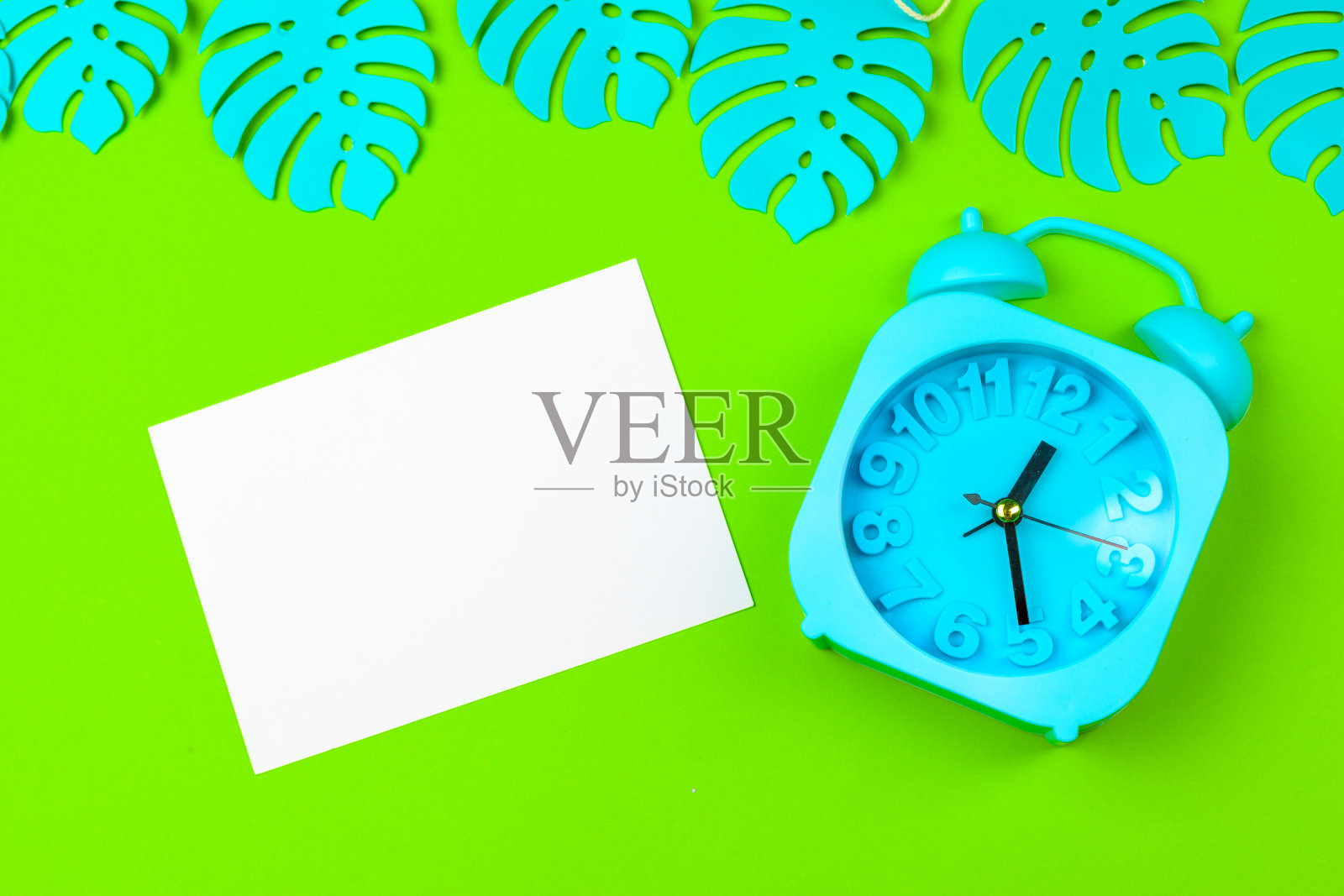 带闹钟的热带树叶照片摄影图片