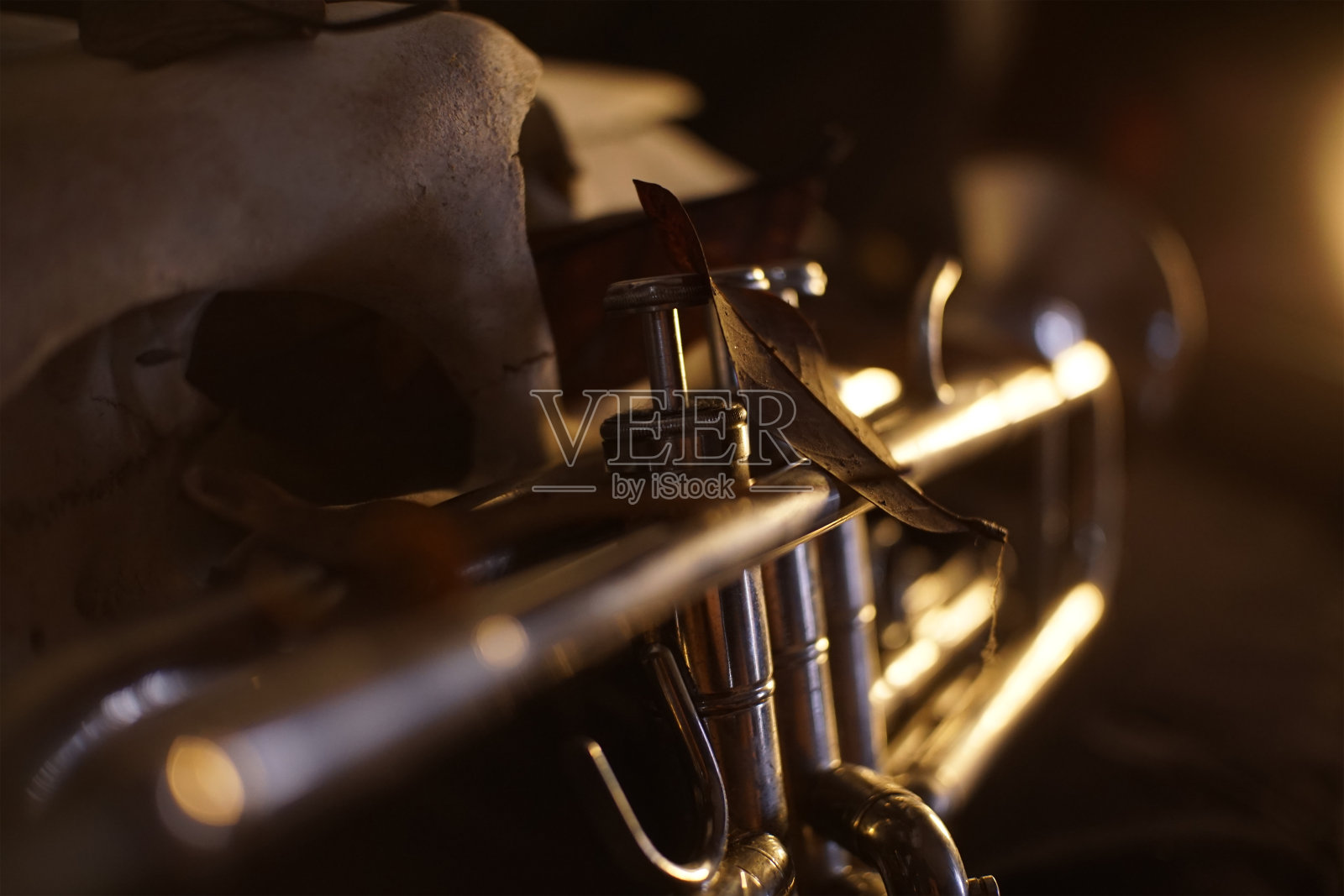 奥普克斯照片摄影图片