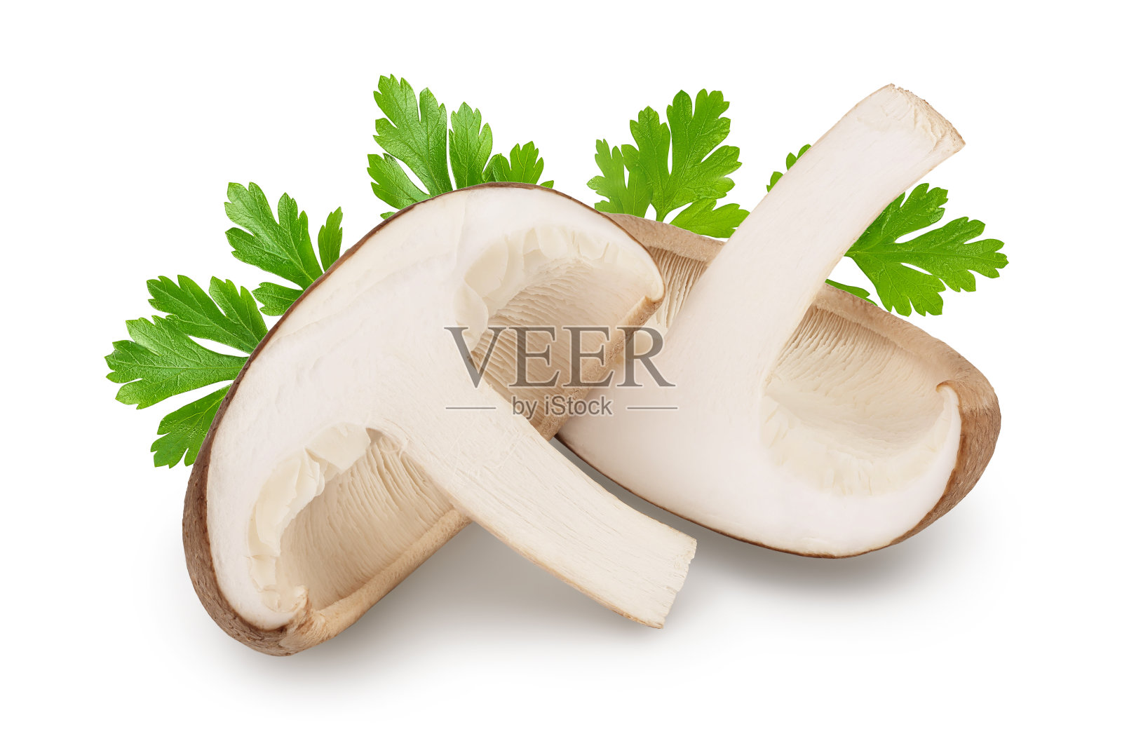 鲜香菇孤立在白色背景与修剪路径和全景深的领域。照片摄影图片