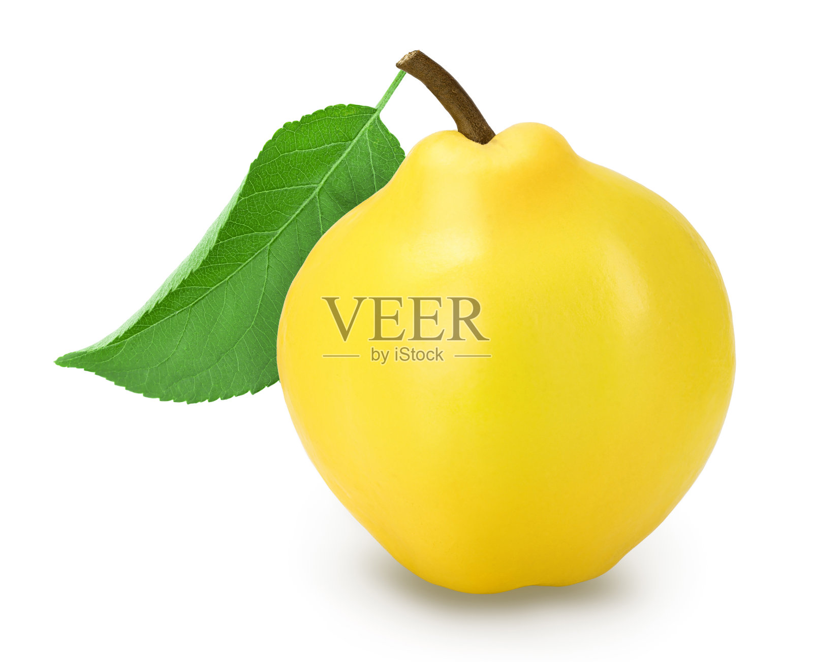 新鲜的木瓜与叶子孤立的白色背景与修剪路径和充分的景深照片摄影图片