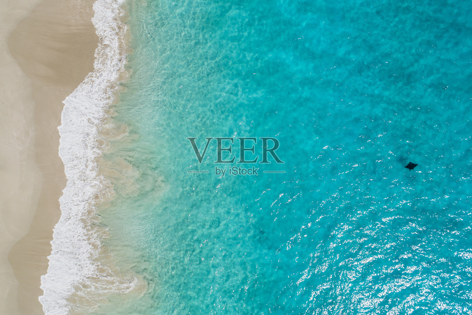 纯净的白色沙滩，水和海豚群照片摄影图片