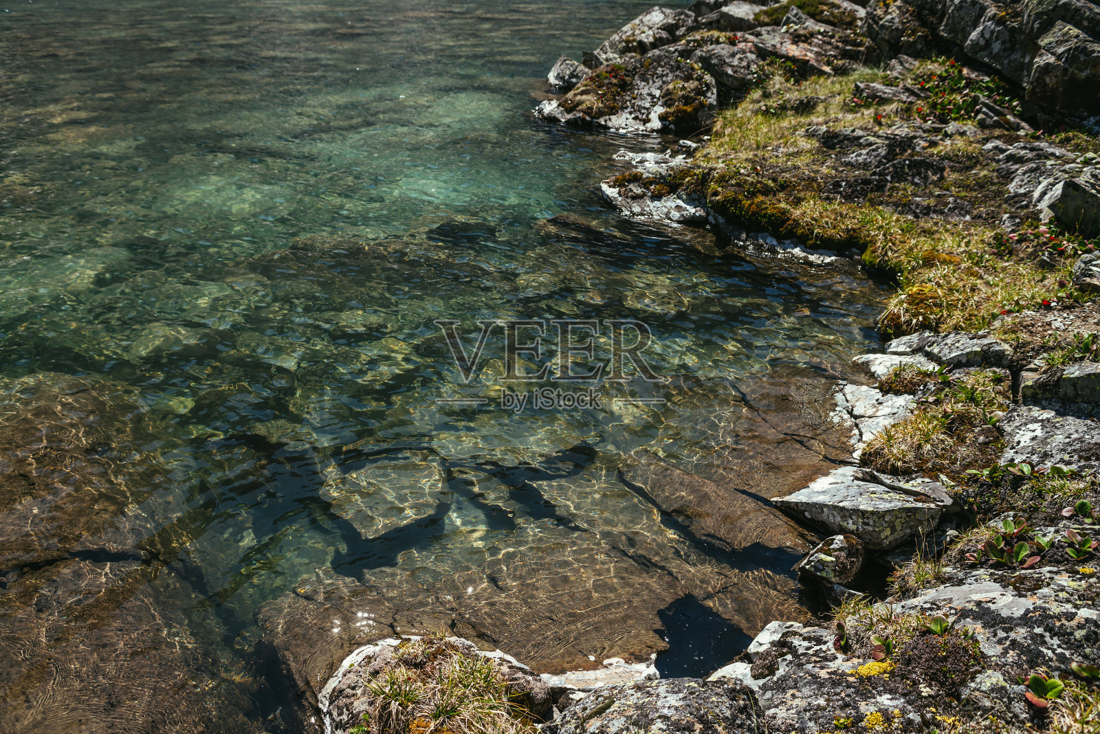 阳光明媚的风景，山湖水边的石头上有苔藓和草。冰湖边缘有山地植物群，风景优美。冰川湖湖水清澈。照片摄影图片