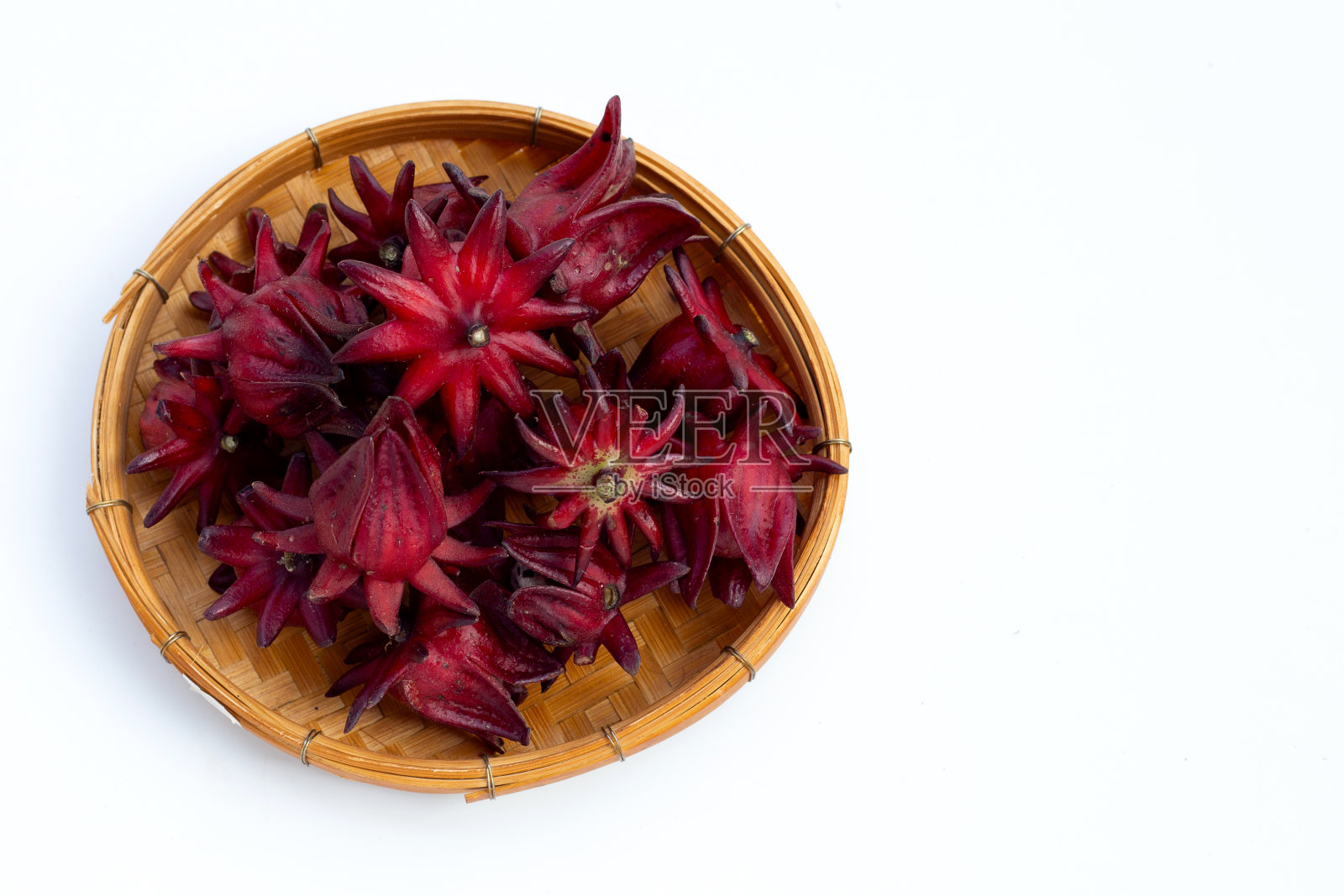 孤立的蔷薇花在白色上照片摄影图片