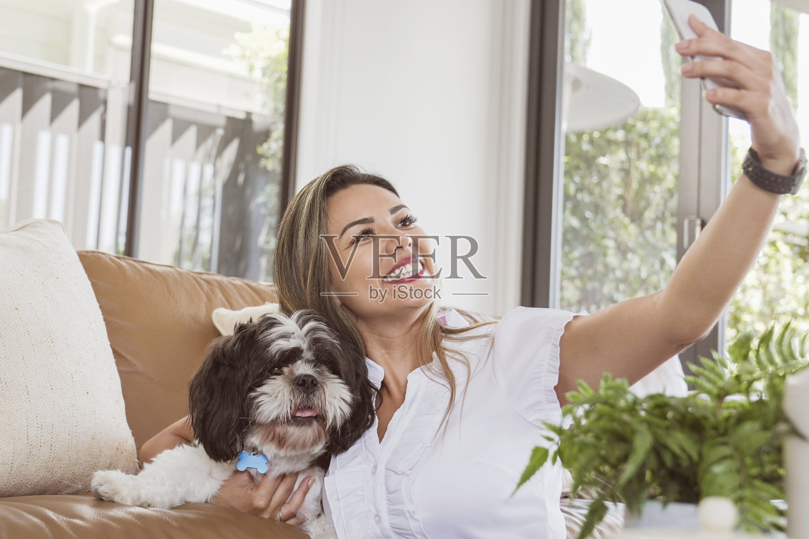 美丽的巴西女人试图与她的西施宠物狗自拍，在家里接听视频电话照片摄影图片