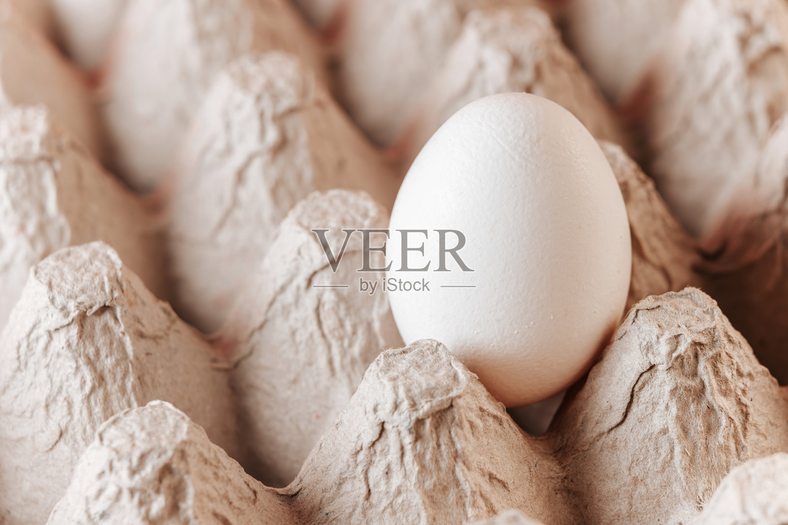 硬纸板容器鸡蛋与一个鸡蛋在一个细胞特写。照片摄影图片