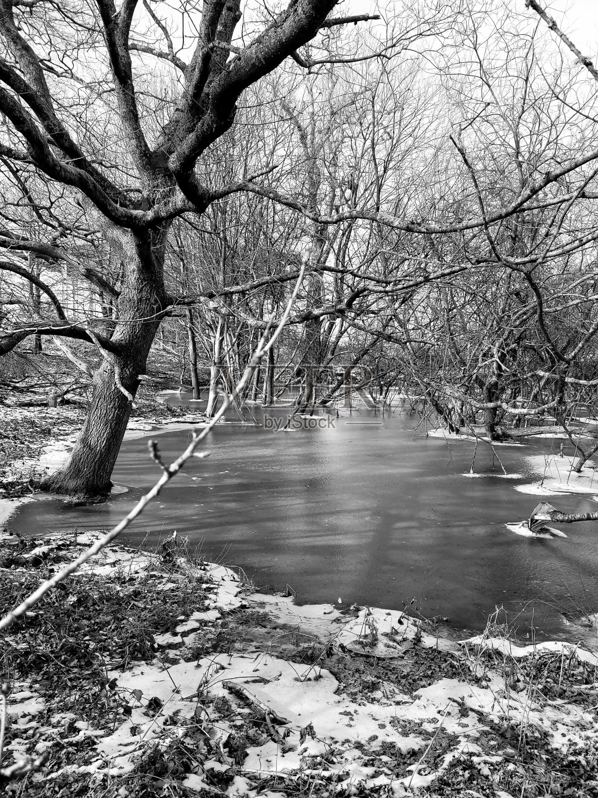 冻结的时间照片摄影图片
