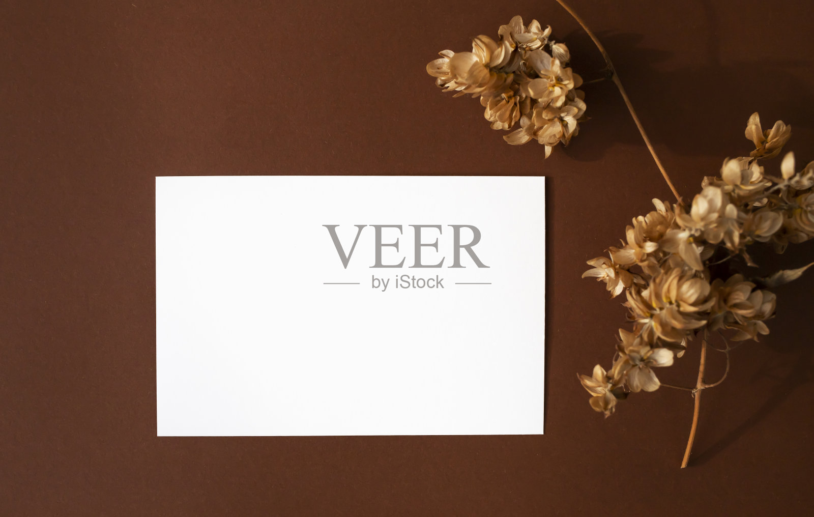 一张白纸和在牛皮纸背景上的干花。前视图。照片摄影图片