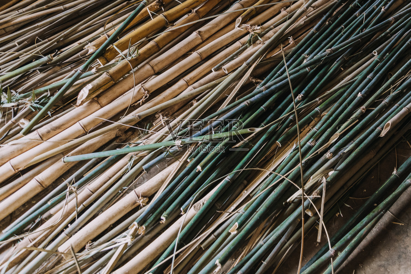 干竹枝合上照片摄影图片