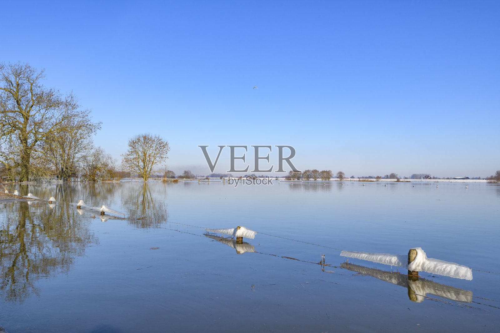 在一个寒冷的冬天的早晨，IJssel河的篱笆上结了冰照片摄影图片