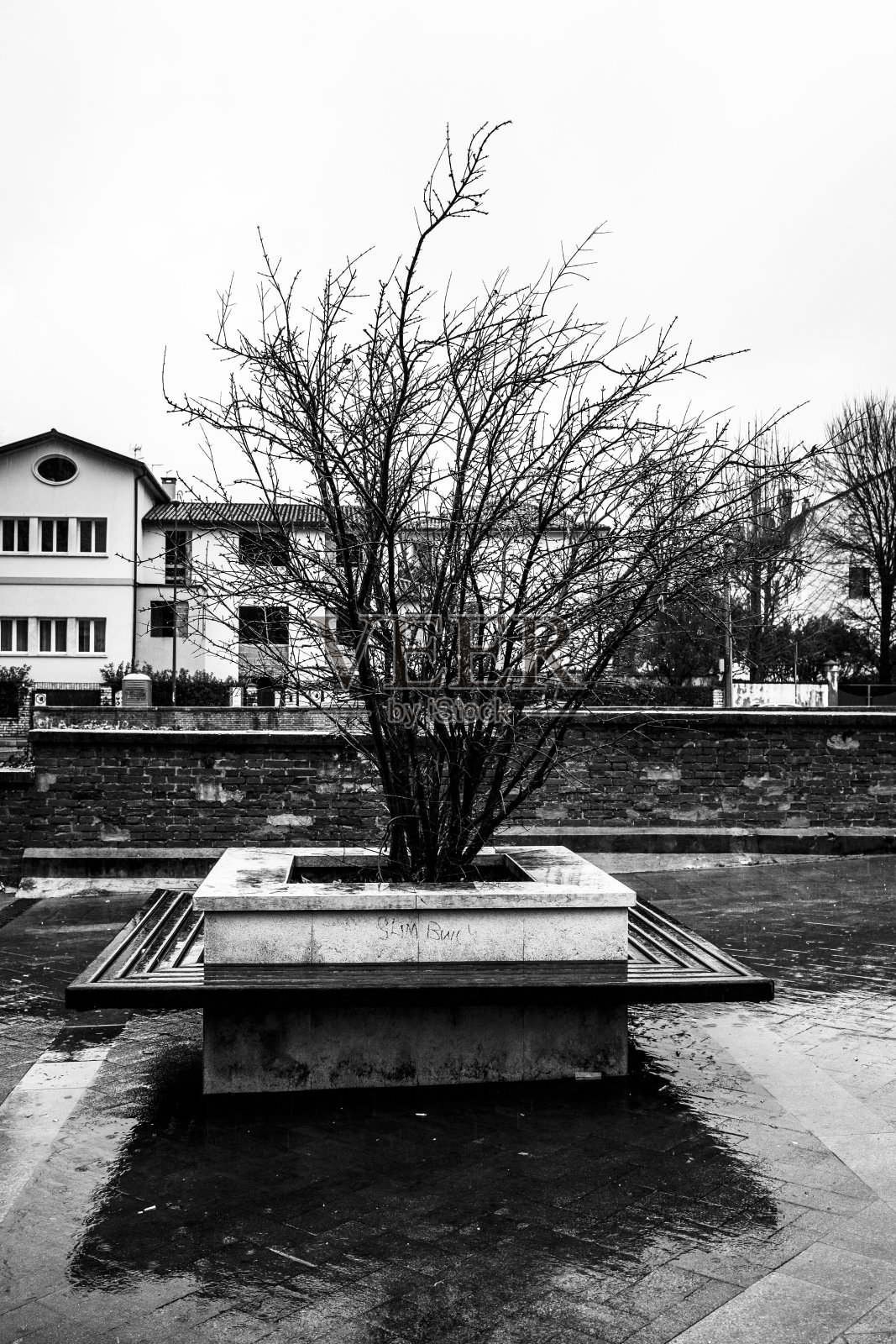 自然的广场照片摄影图片