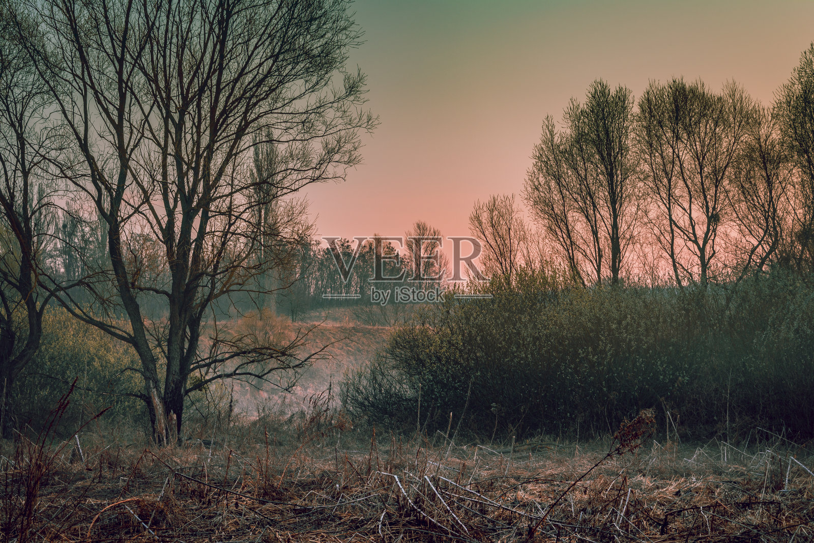 日出河照片摄影图片