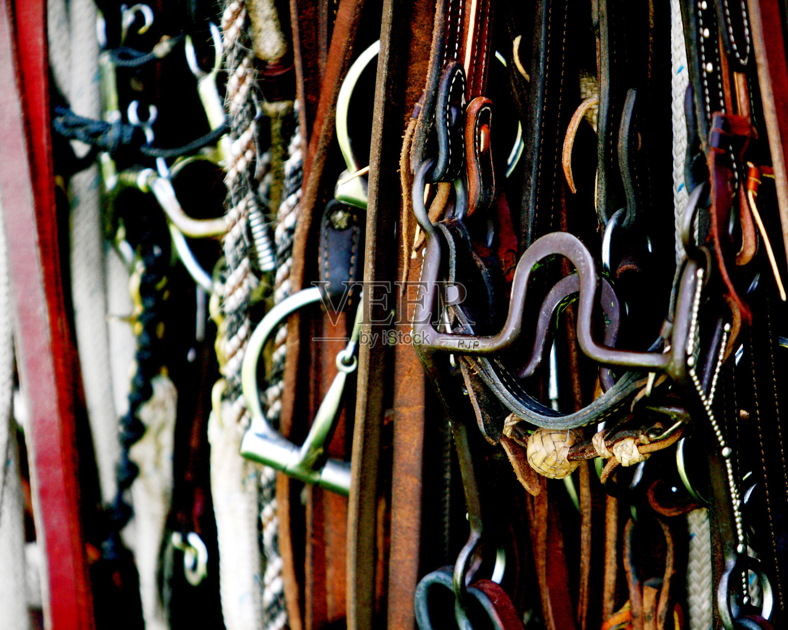 西方的缰绳照片摄影图片