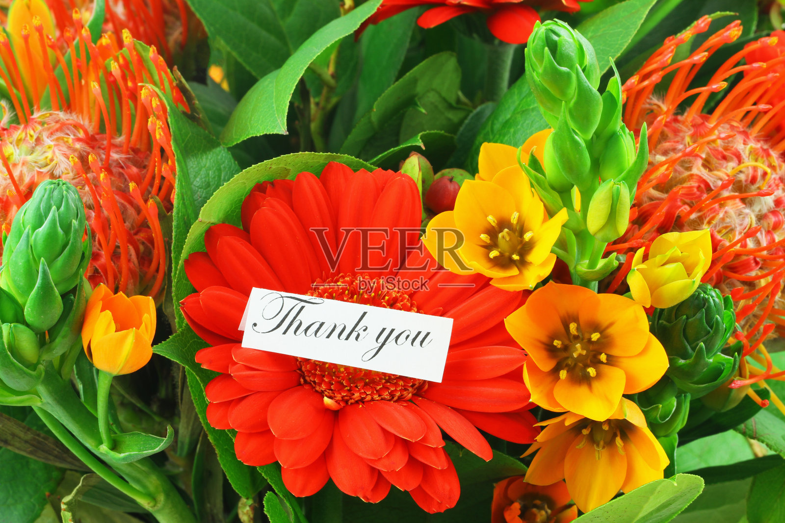 感谢卡的背景是彩色的鲜花照片摄影图片