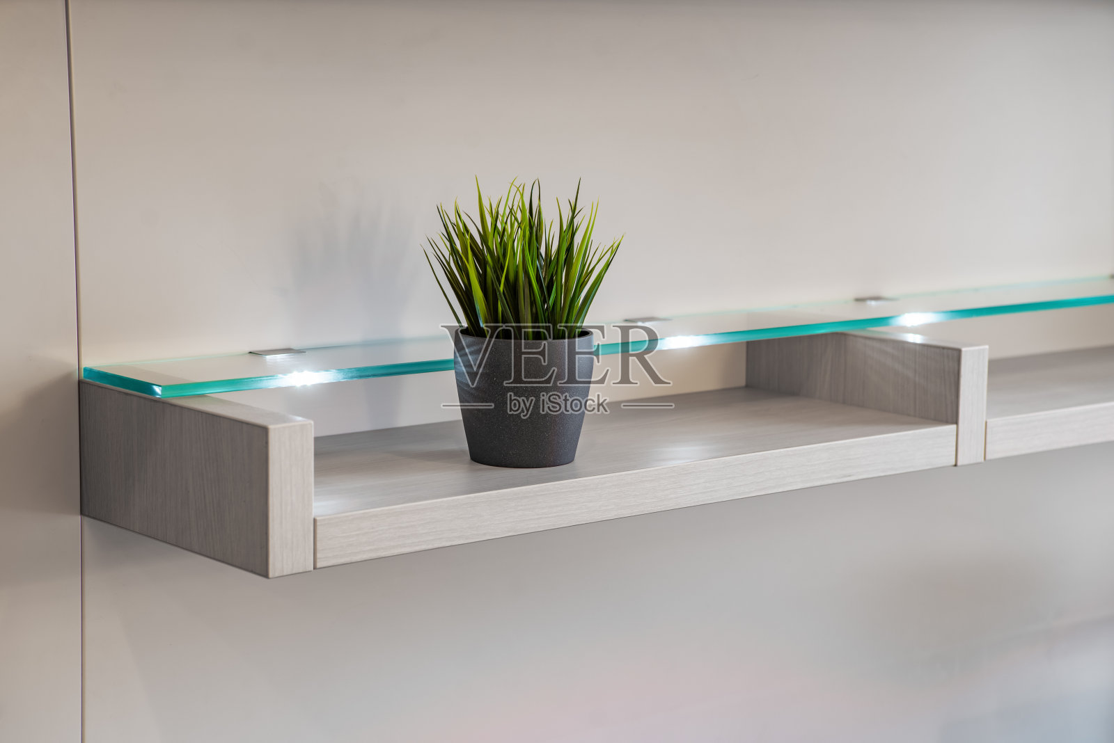 绿色植物的特写在轻木架子与照明。现代的室内。家居装饰。照片摄影图片